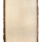 Live Edge Basswood Plank