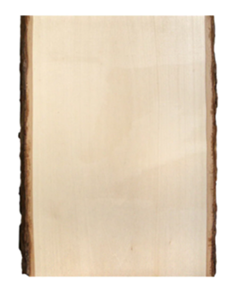 Live Edge Basswood Plank